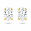 Oval Stud Earrings