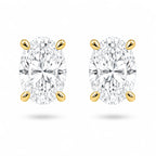 Oval Stud Earrings